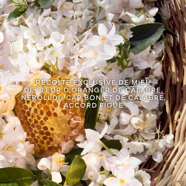 Aqua Allegoria Harvest Nerolia Vetiver GUERLAIN