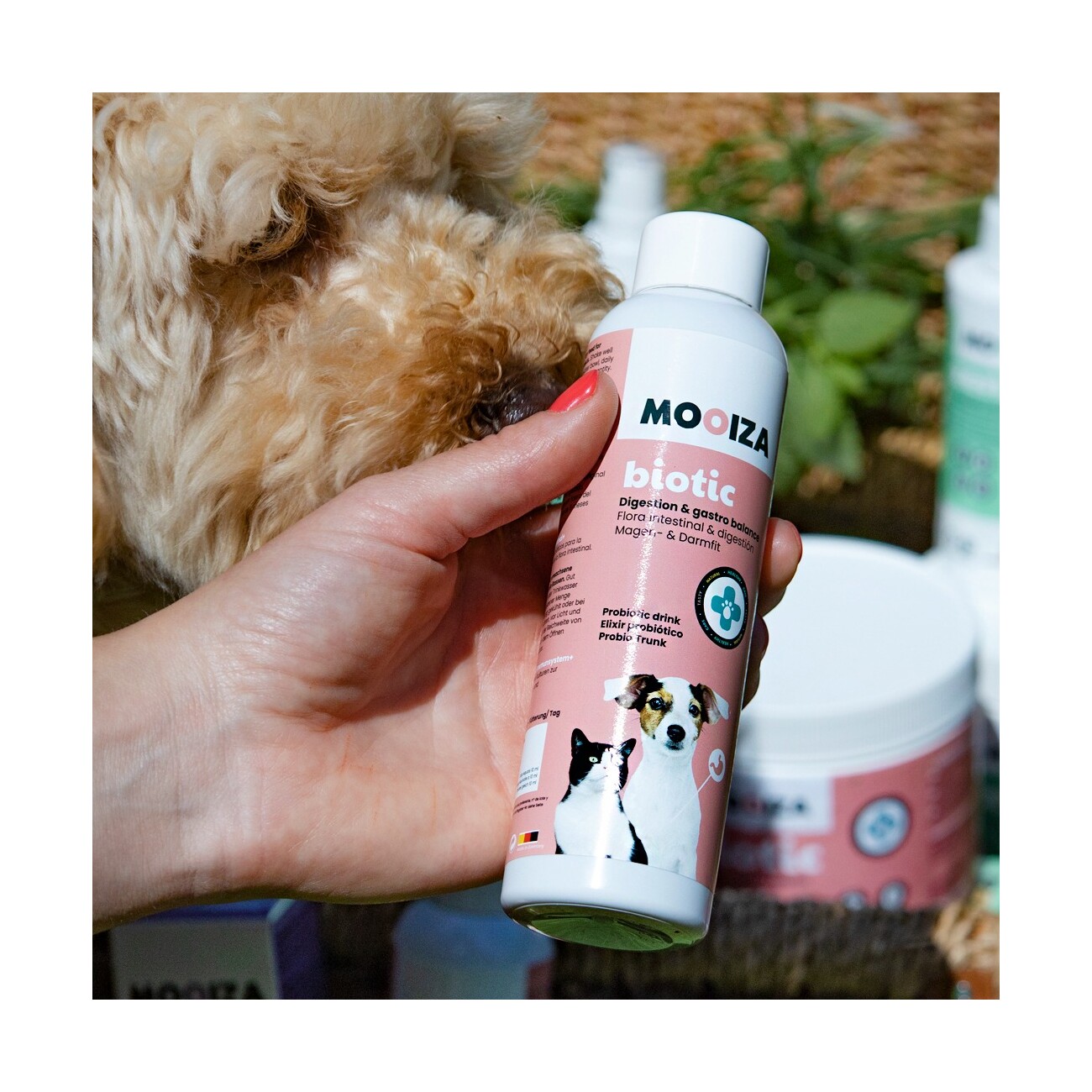Mooiza Pet Biotic Pro