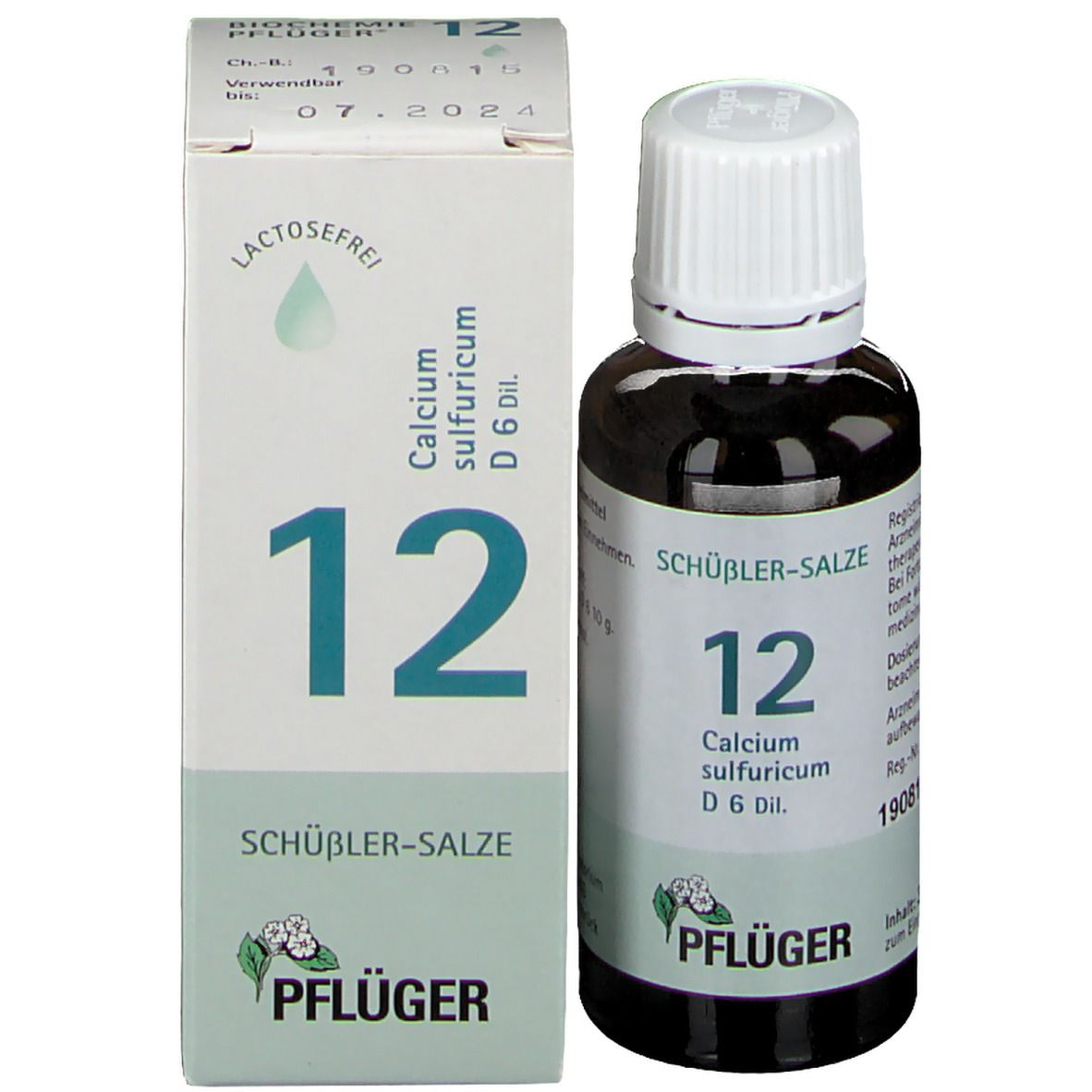Biochemie Pflüger® Nr. 12 Calcium sulfuricum D6 Tropfen