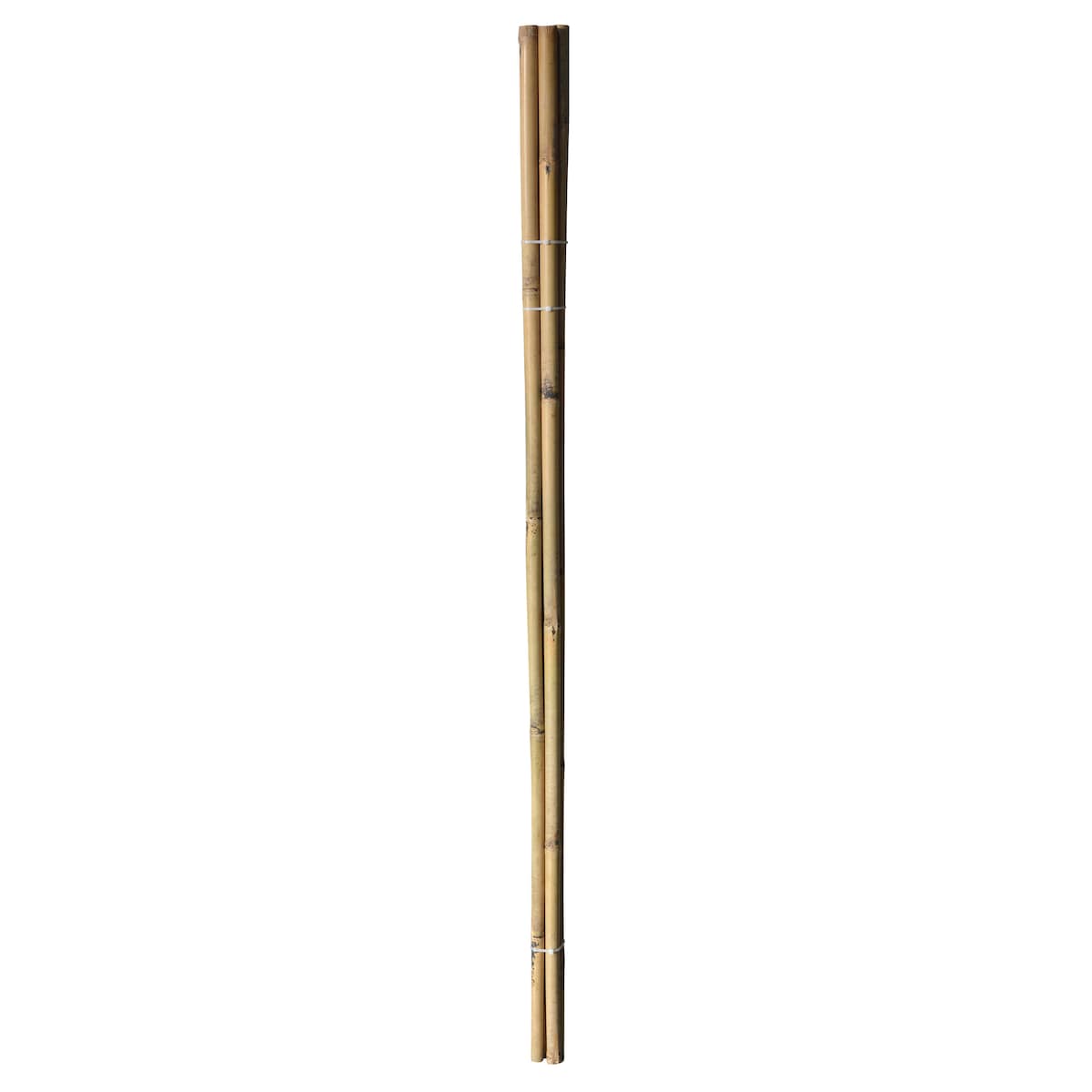 Bambupinnar – 150 cm – Ø25,4 mm – 4 st.