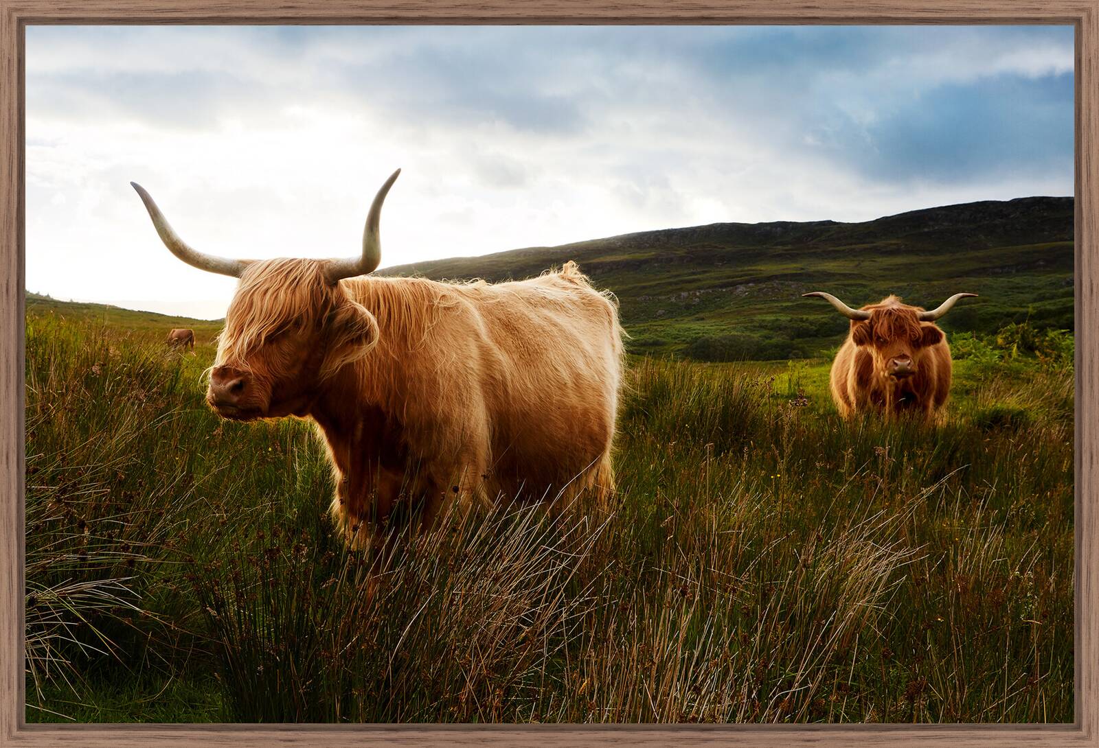 Highland by Ramona Waldner - Limited Edition. Edition of: 150. Signed.