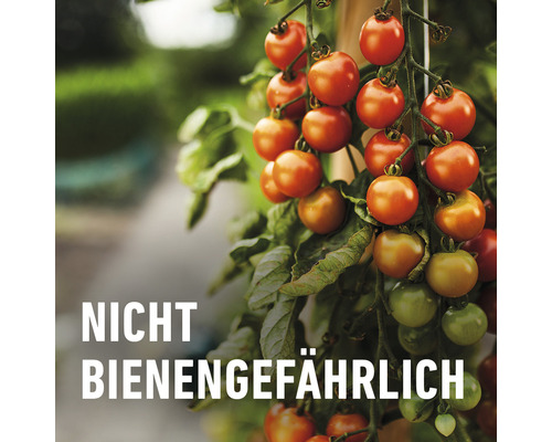 Organisch Insectenvrij Neem COMPO Concentraat 30 ml