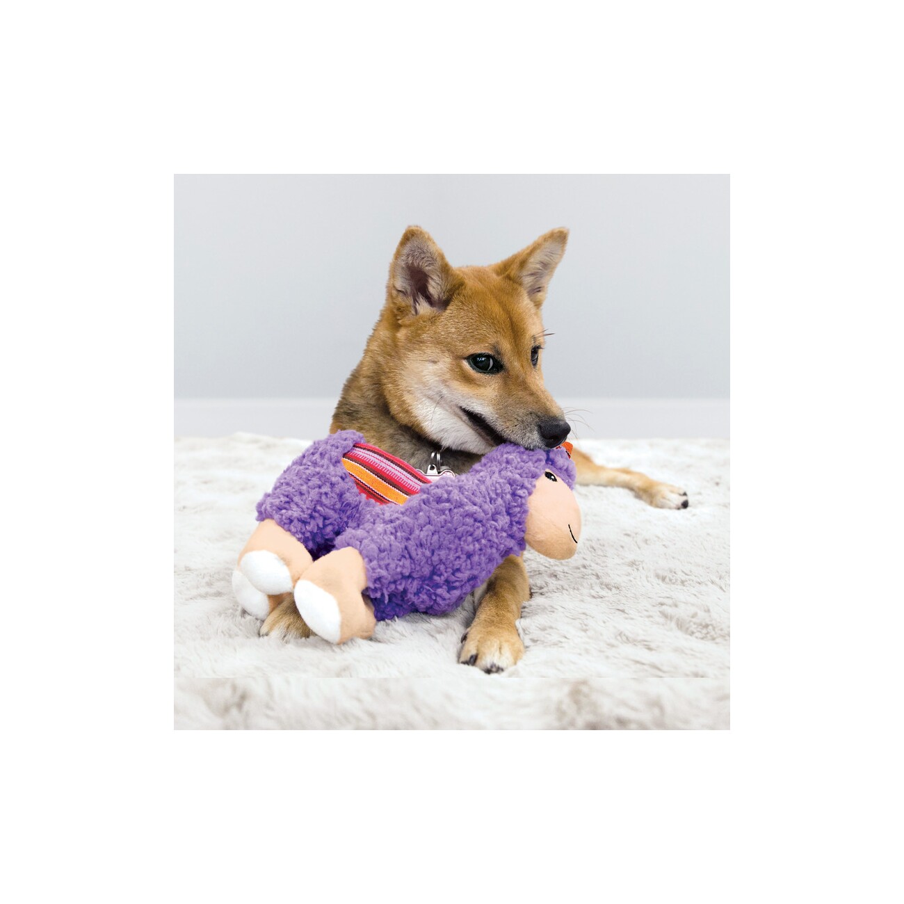 KONG Sherps Llama