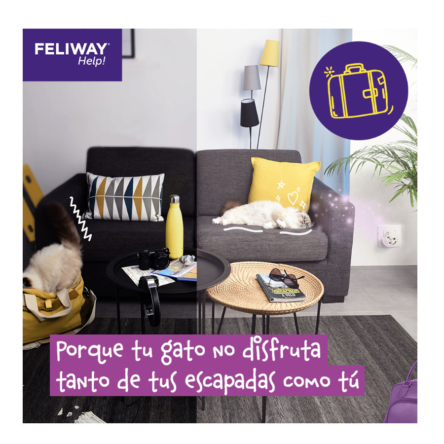 Difusor Feliway Help e Refil com feromônios para alívio ocasional do estresse.