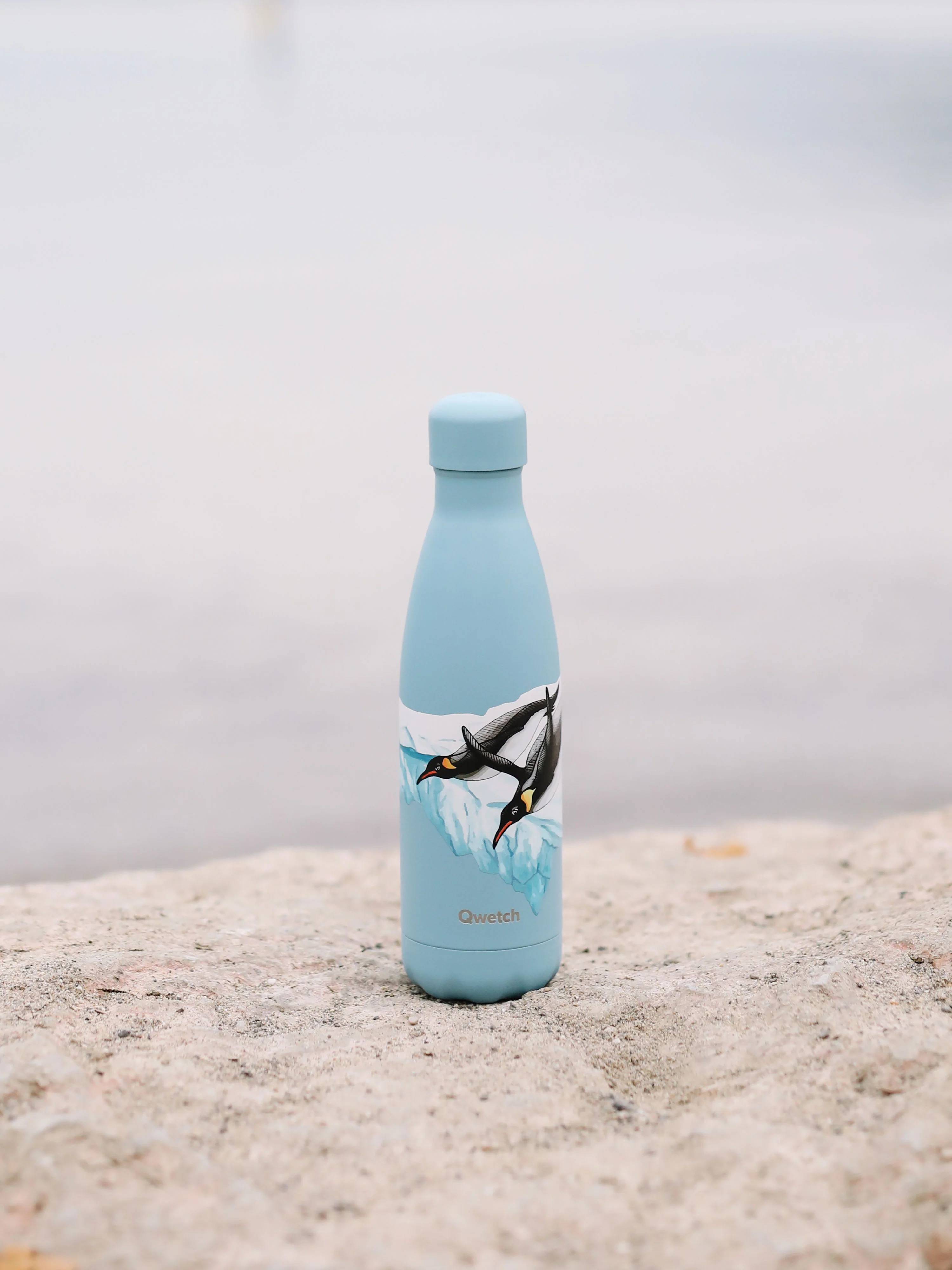 Bouteille Isotherme Originals Manchot - Qwetch