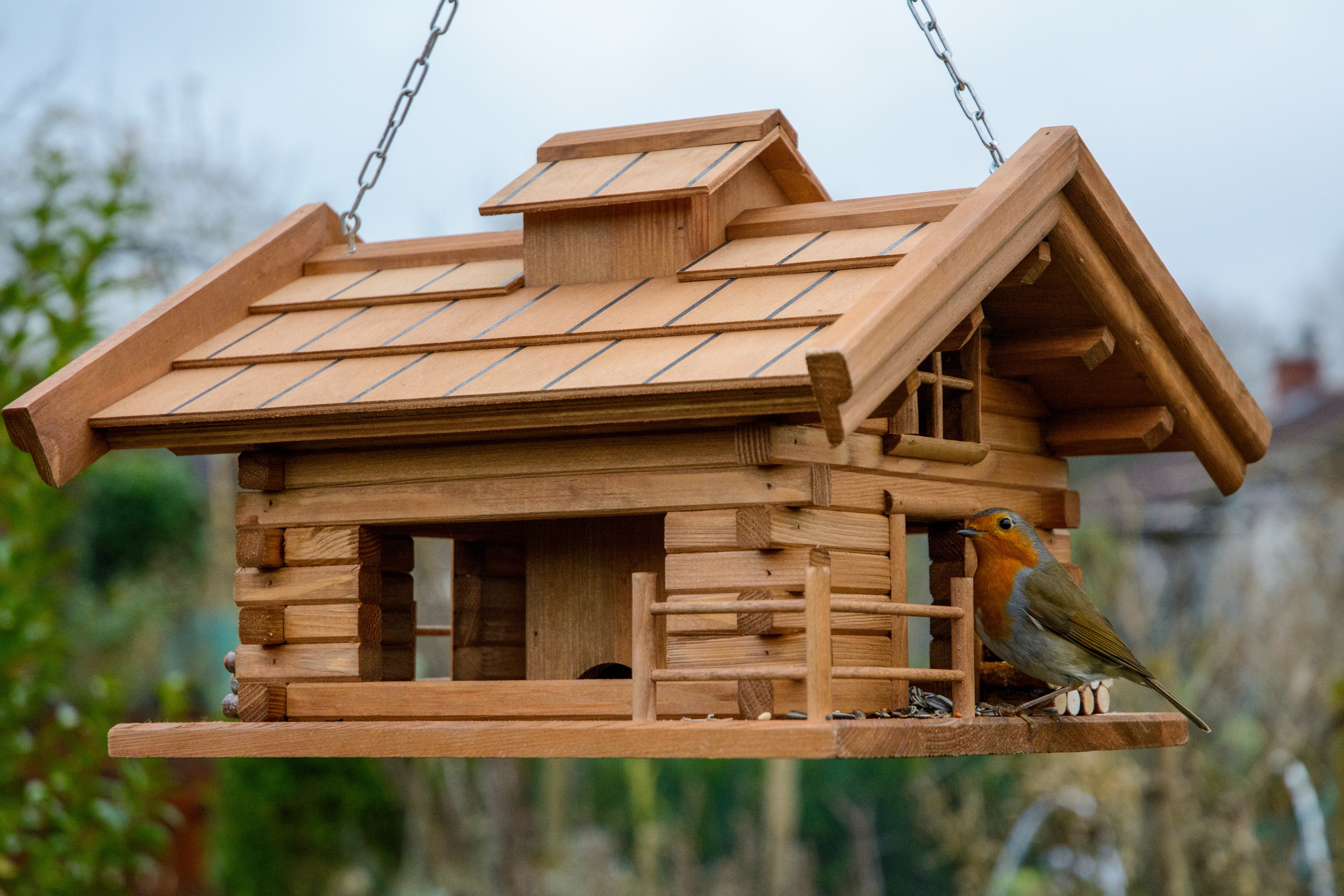 Vogelfutterhaus | versch. Ausführungen
