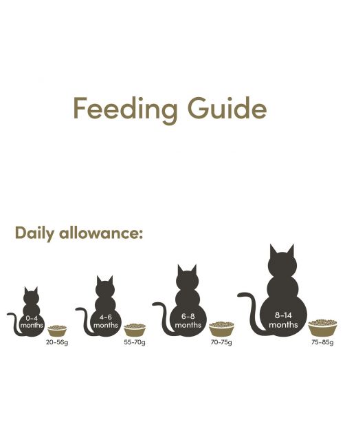 Applaws Cat Kitten - Kitten-Kattenvoer - 2 kg