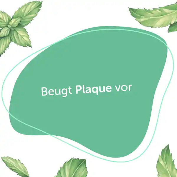 Mundspülung Bio-Minze