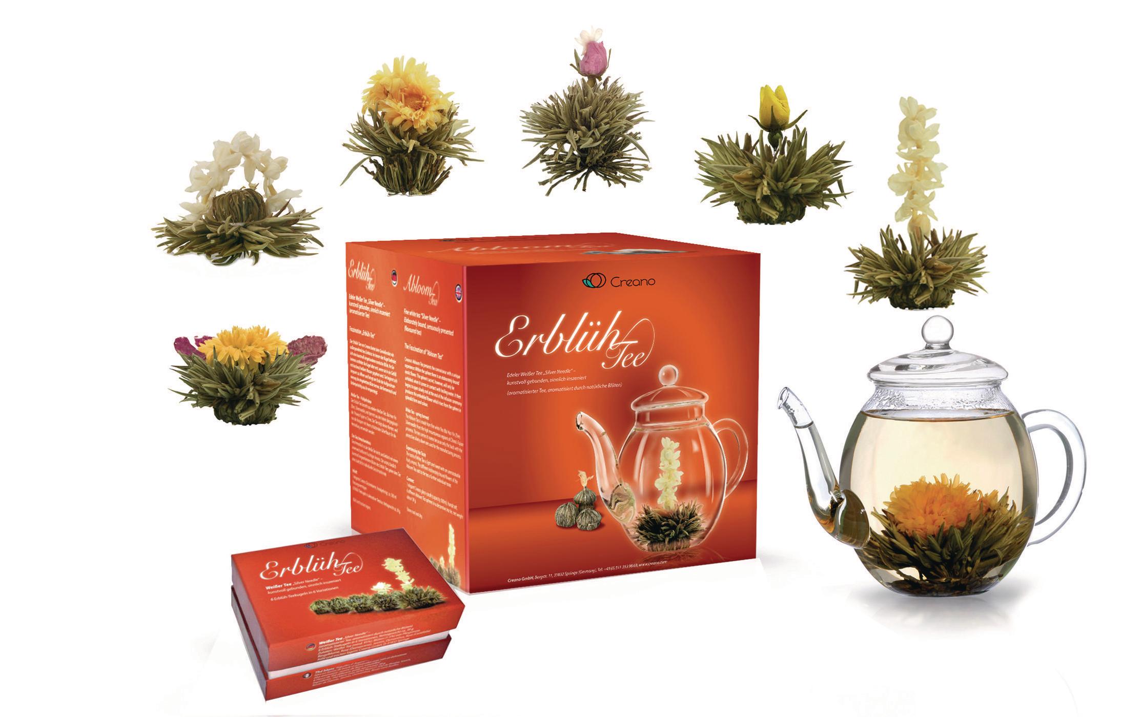 Tee-Set Erblühtee 0.5 l, TransparentGeschenkset Weisser Tee