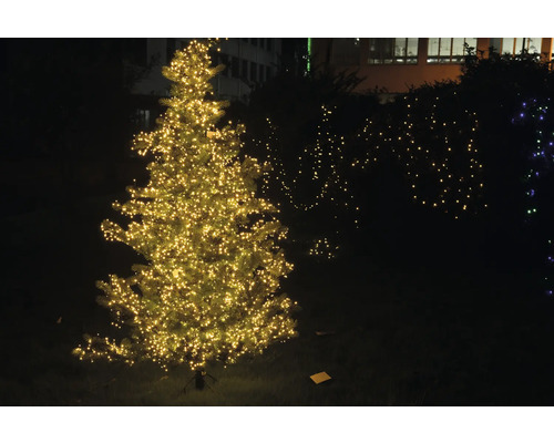 LED cluster lichtketting Lafiora 6 m 768 LED's lichtkleur amber