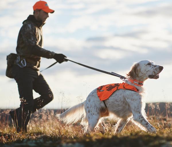 Non-stop dogwear Hundeleine Touring bungee