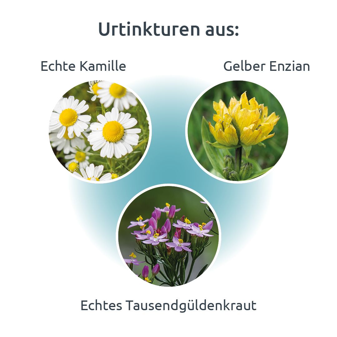 DR. THEISS Gastrin-Do® Tropfen