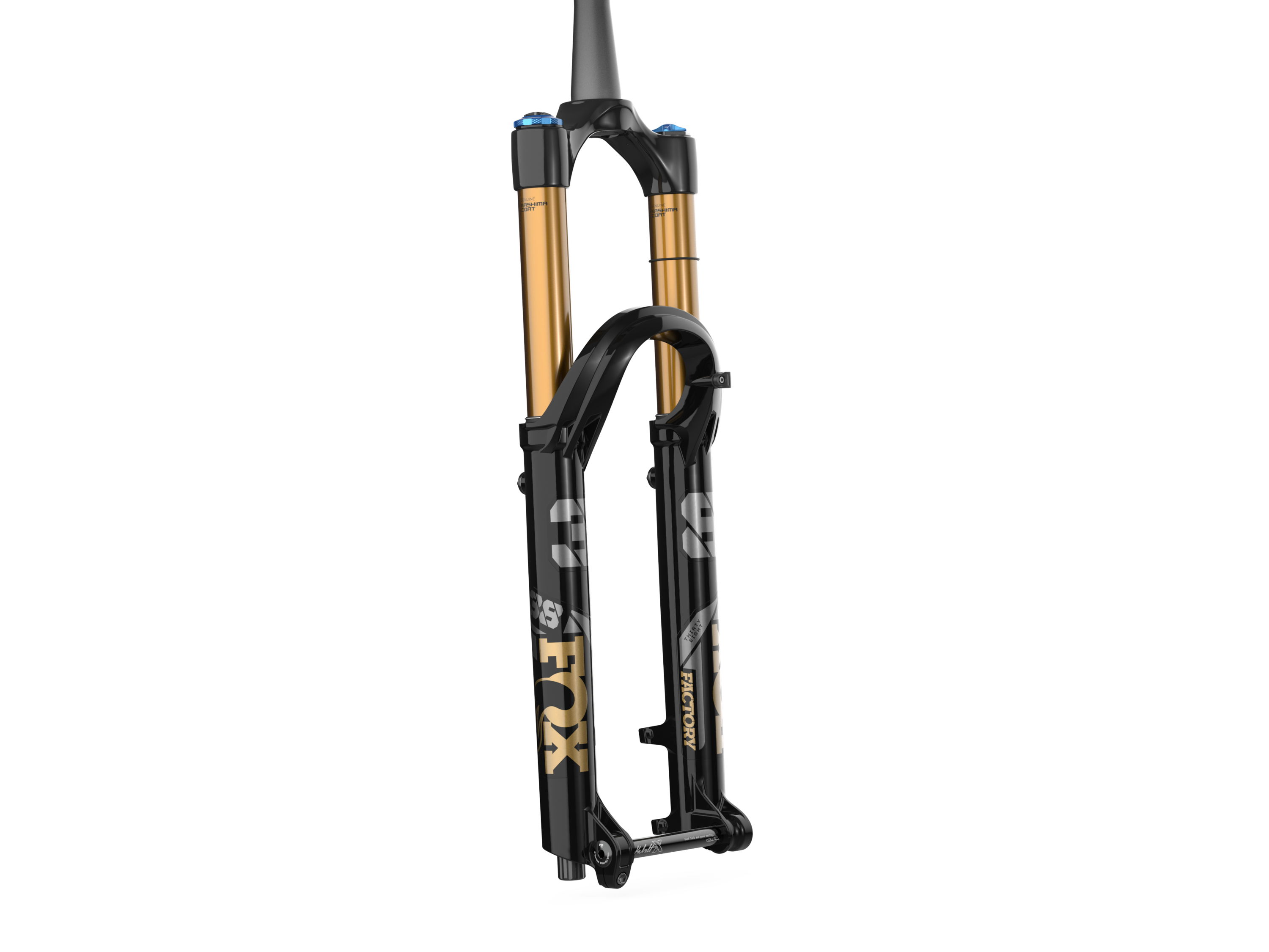 Fox Racing Shox Fox float 38 Factory 29