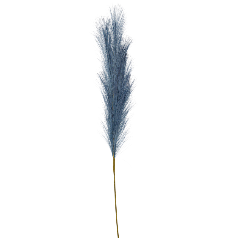 Tige de pampas 'Deep Blue' 95cm