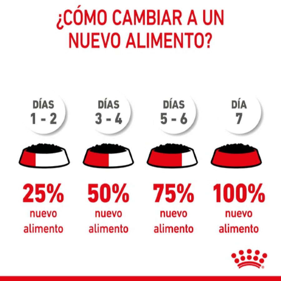Sachê de patê Royal Canin Kitten para gatos