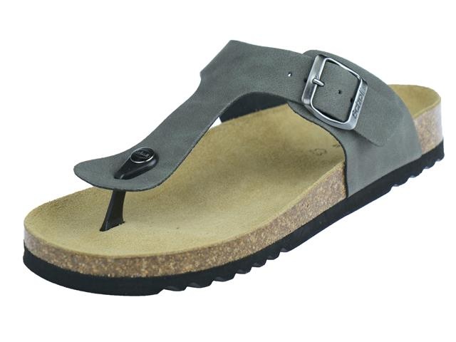 Scholl Evis