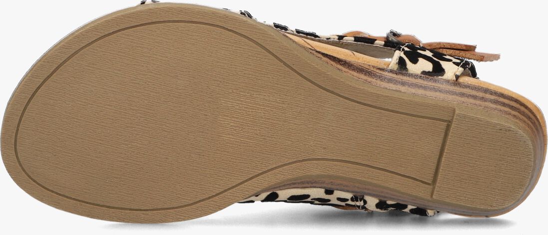 BLOWFISH MALIBU camel blowfish malibu sandalen blumoon