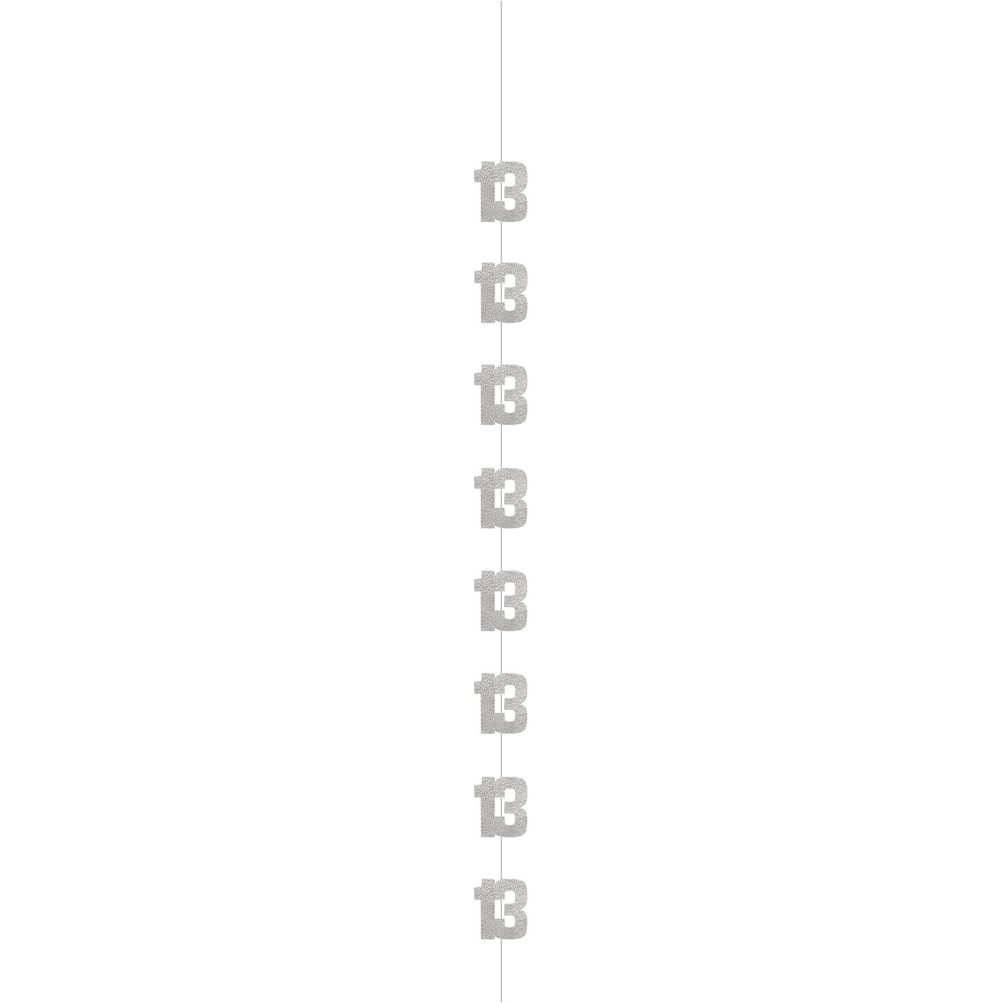 13 Jaar Hangdecoratie Zilver 1,52m