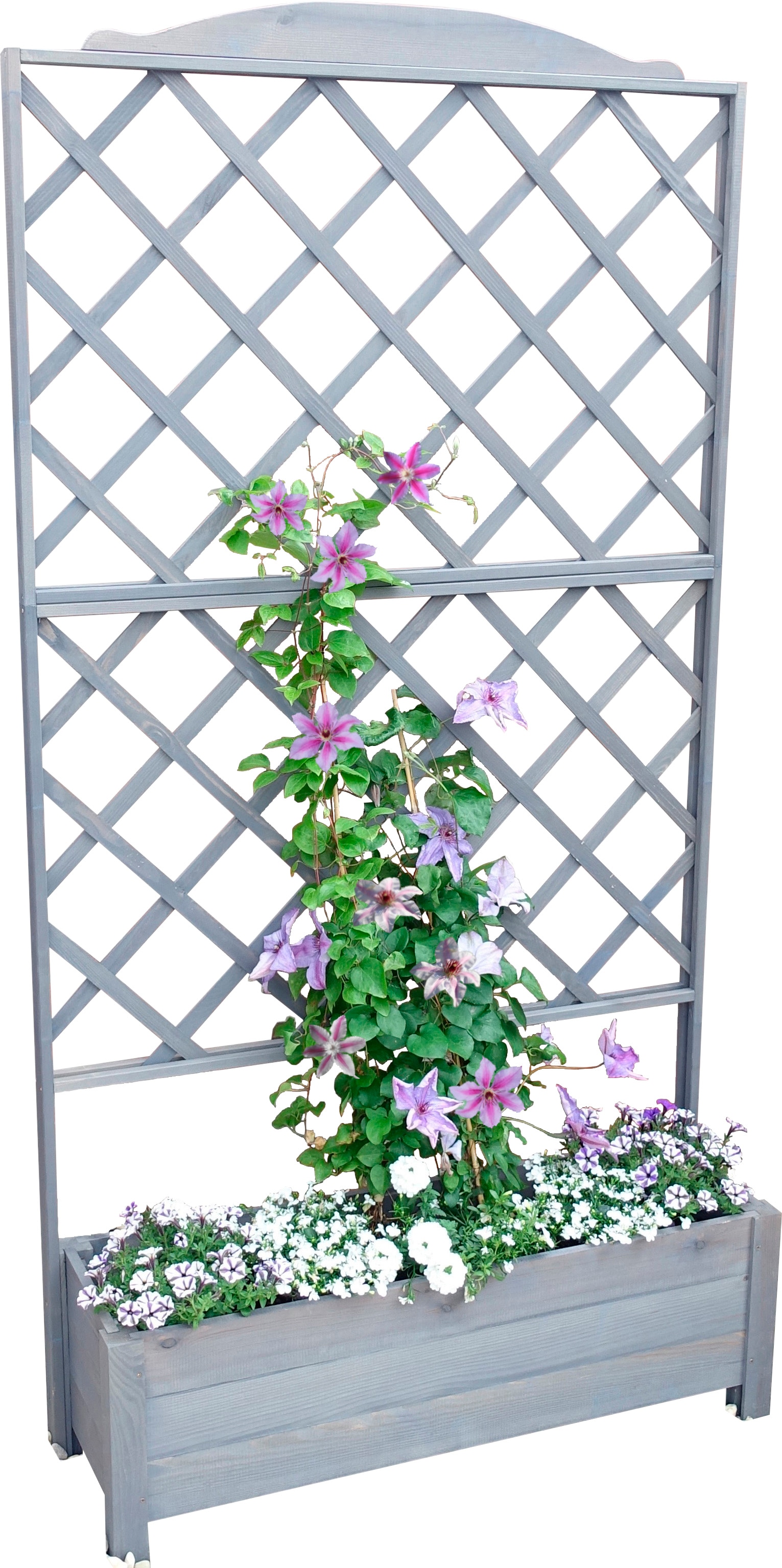 promadino Rankhilfe »Botanica« Rankkasten, BxTxH: 110x32x210 cm