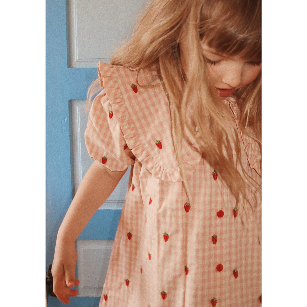 Køb Flöss Pink Berry Gingham Dolly Kjole