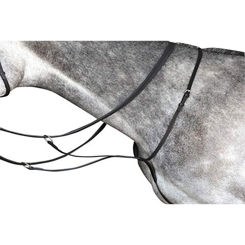 Martingale de couro universitário para cavalos