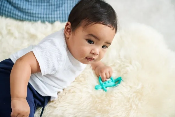 Matchstick Monkey Teether Dinosaur