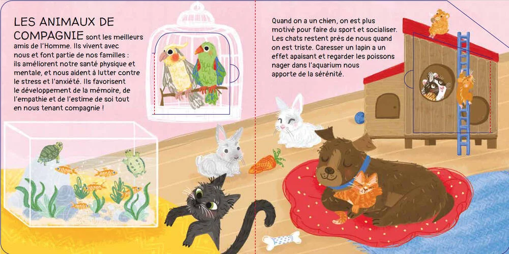 LIVRE NOS AMIS LES ANIMAUX : A LA MAISON