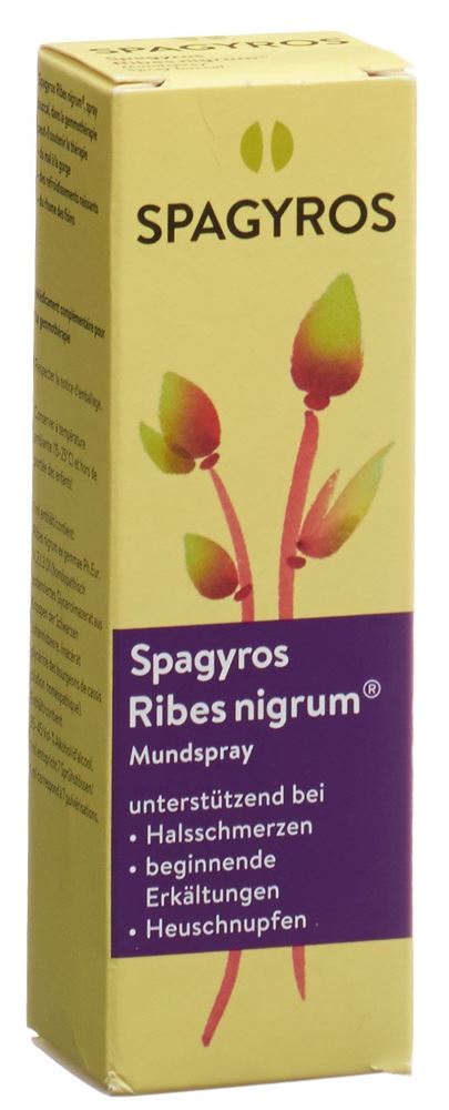 Spagyros Ribes nigrum Mundspray Spray 1 D 30 ml