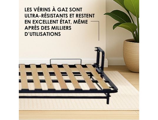 WALLBEDKING - Lit escamotable murphy, 200cmx150cm, horizontal, classique