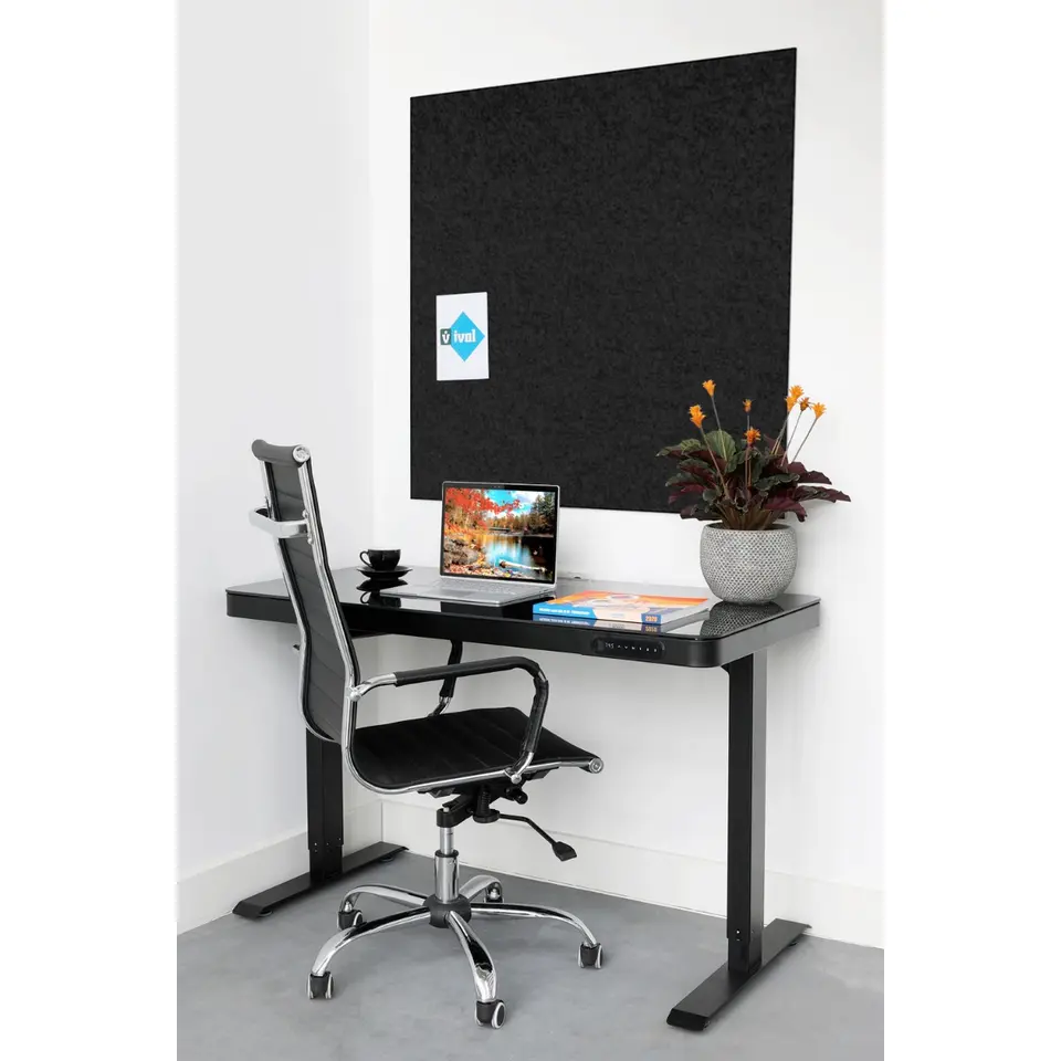 Akoestisch wandpaneel PET-vilt - 100x100 cm - Zwart