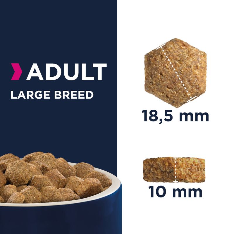 Eukanuba Adult Large Breed poulet