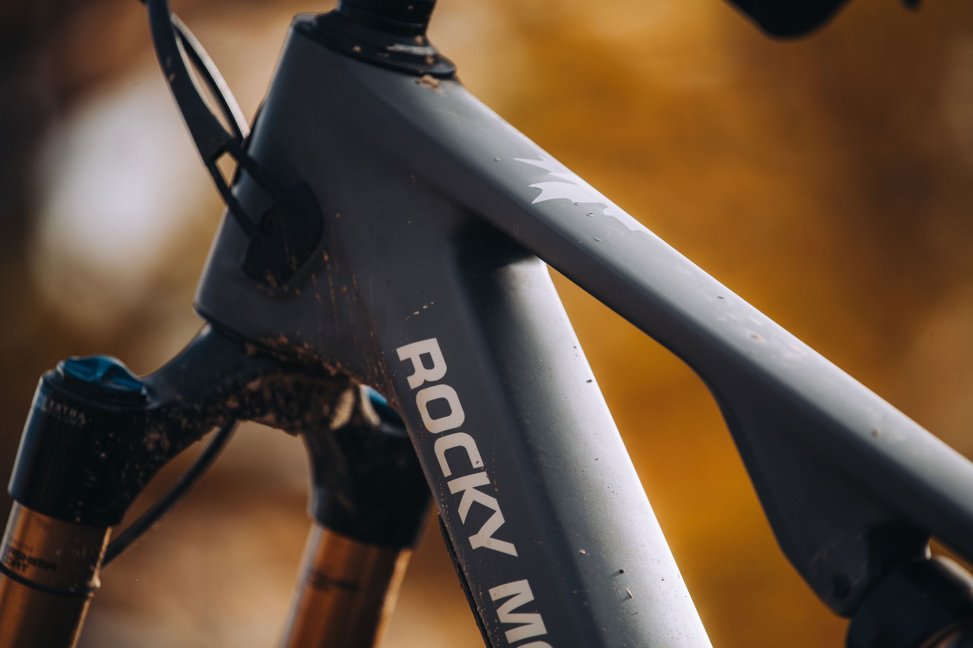 Rocky Mountain Instinct Carbon 30