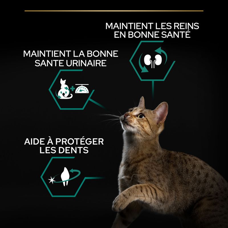 PURINA PRO PLAN Sterilised Adult Renal Plus dinde