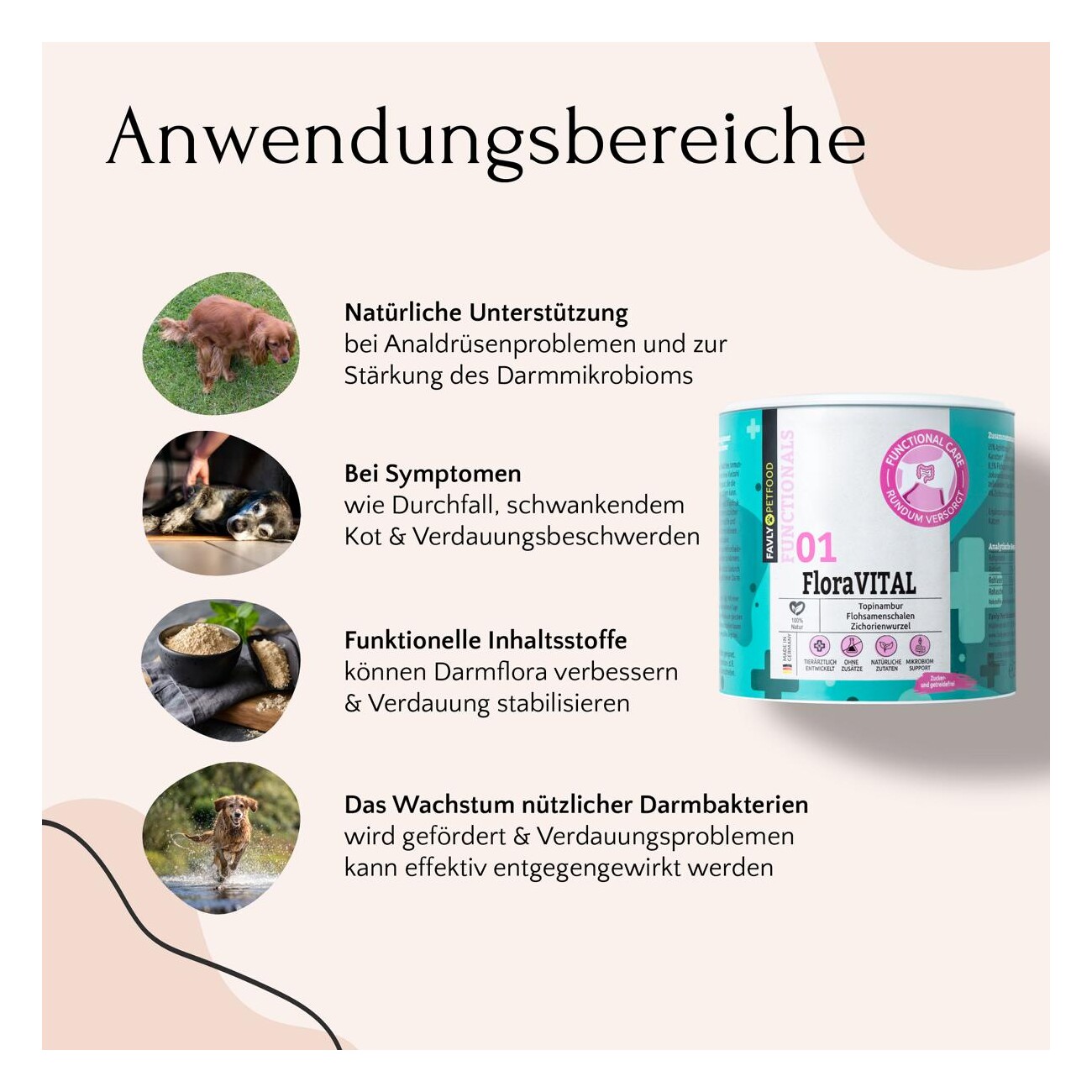 FAVLY Petfood FloraVITAL - Darmaufbau