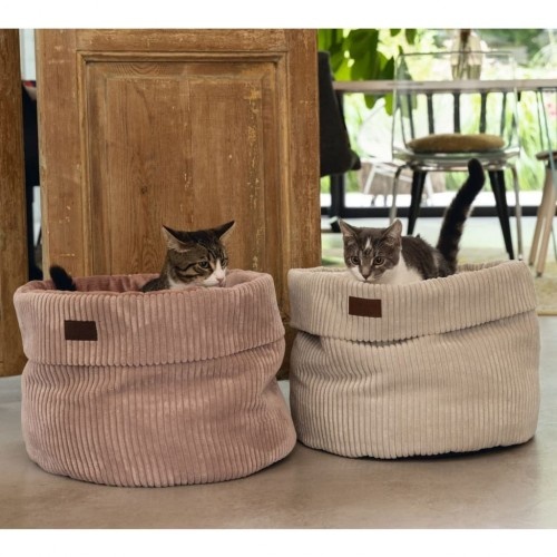 Cesta para gatos com almofada, desenhada pela Lotte.