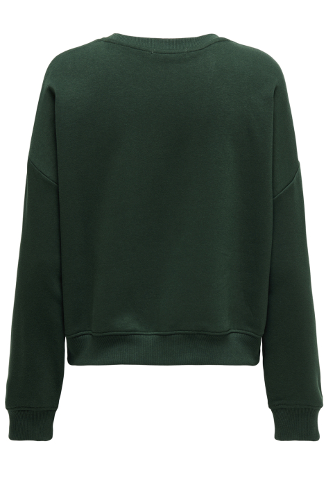 Only groene dames sweater