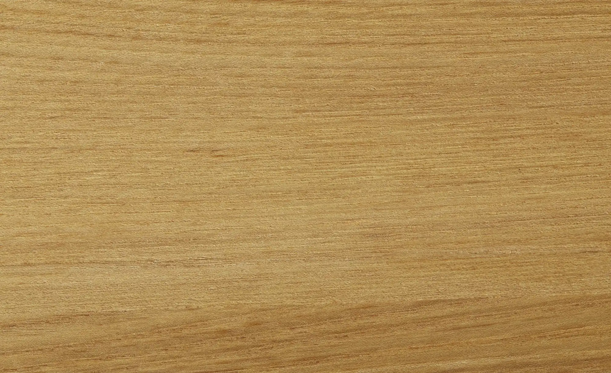 TV-Board Damar