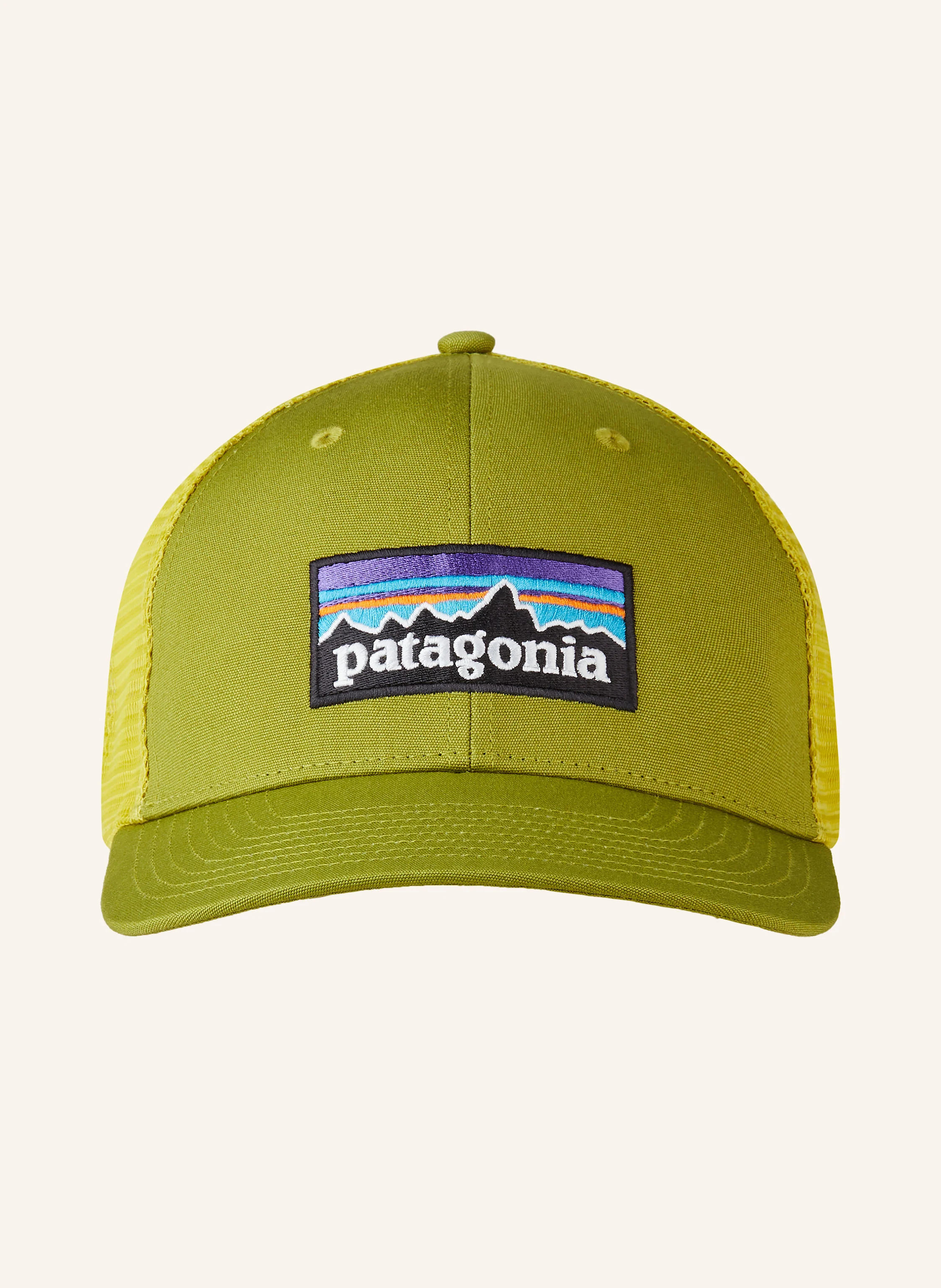 patagonia Cap P-6