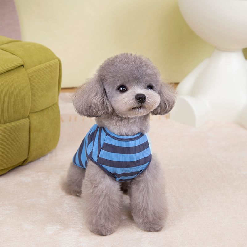 Cissilli - Gestreept Paneel Pet Top