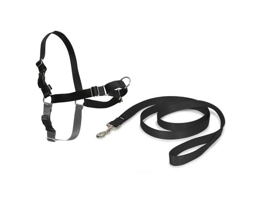 PETSAFE - Harnais de sécurité enfant Harnais pour chiens easy walk m noir
