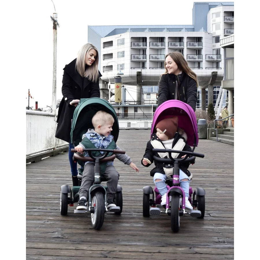 Bentley 6 in 1 Trike Dreirad, Spruce