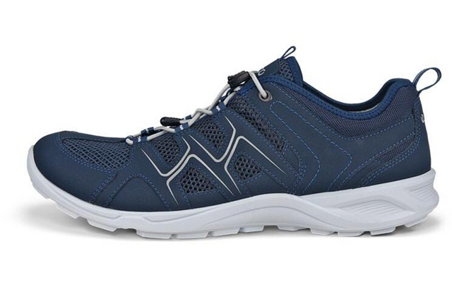 Ecco Terracruise LT Herren Outdoorschuh
