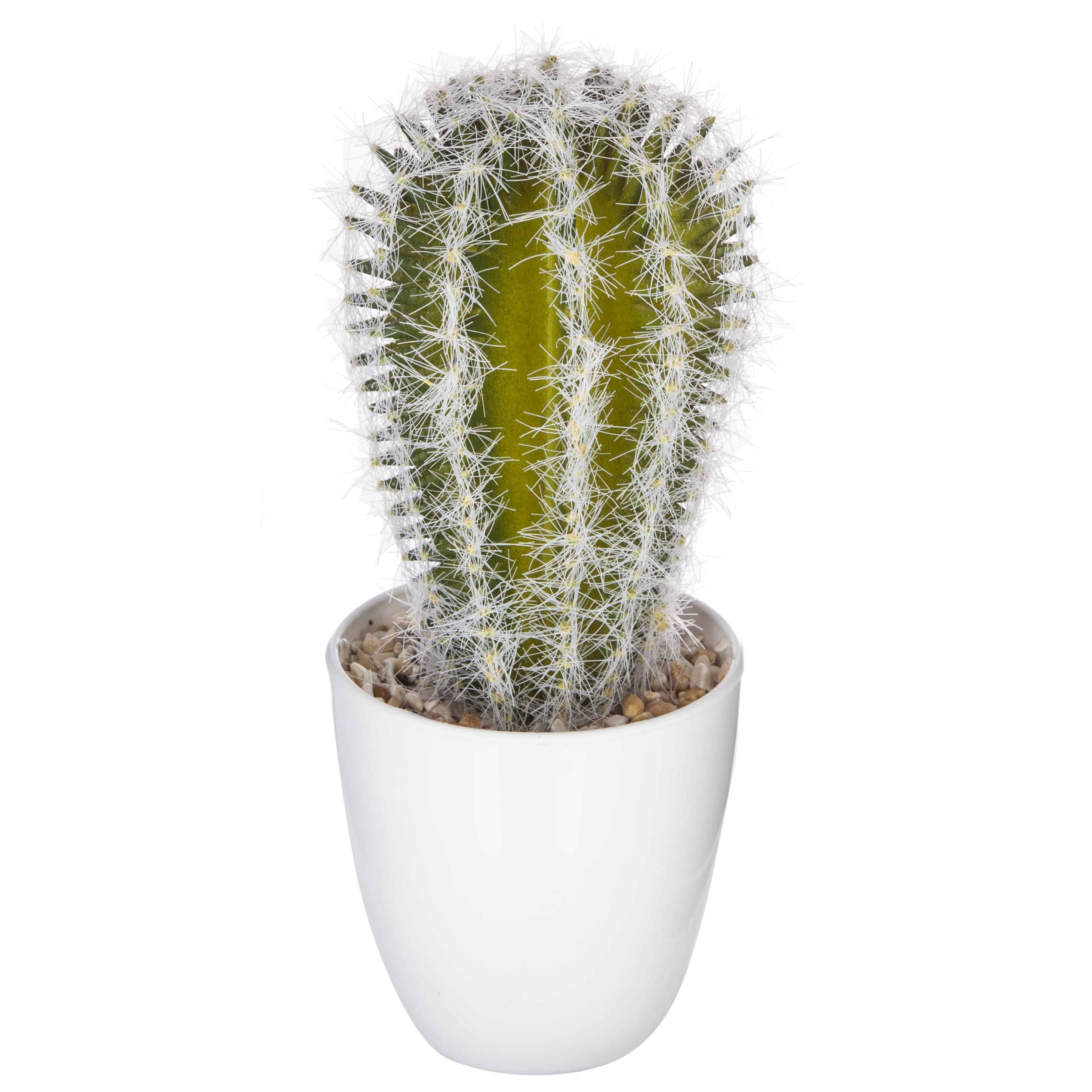 SUCCULENTE CACTUS H.18CM