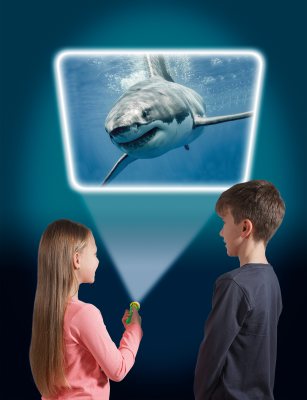 Nhm Sea Creatures Torch