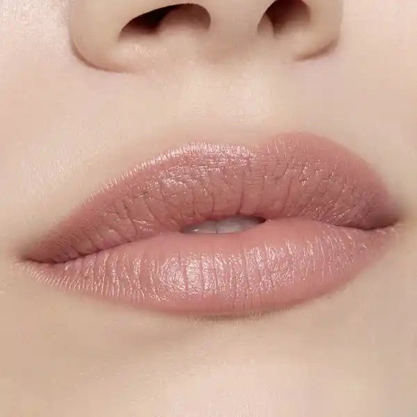 Creamy Nudes Lip Pen 040 Cinnamon Spice