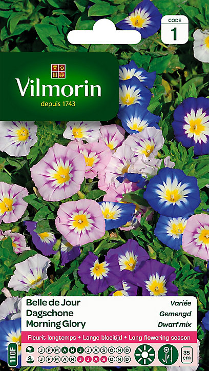 Graines de Belle de Jour Variée Vilmorin
