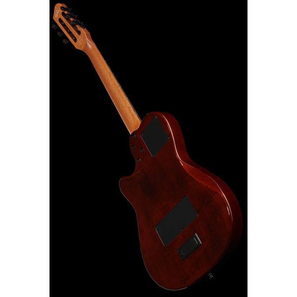 Godin Multiac Mundial Kanyon Burst