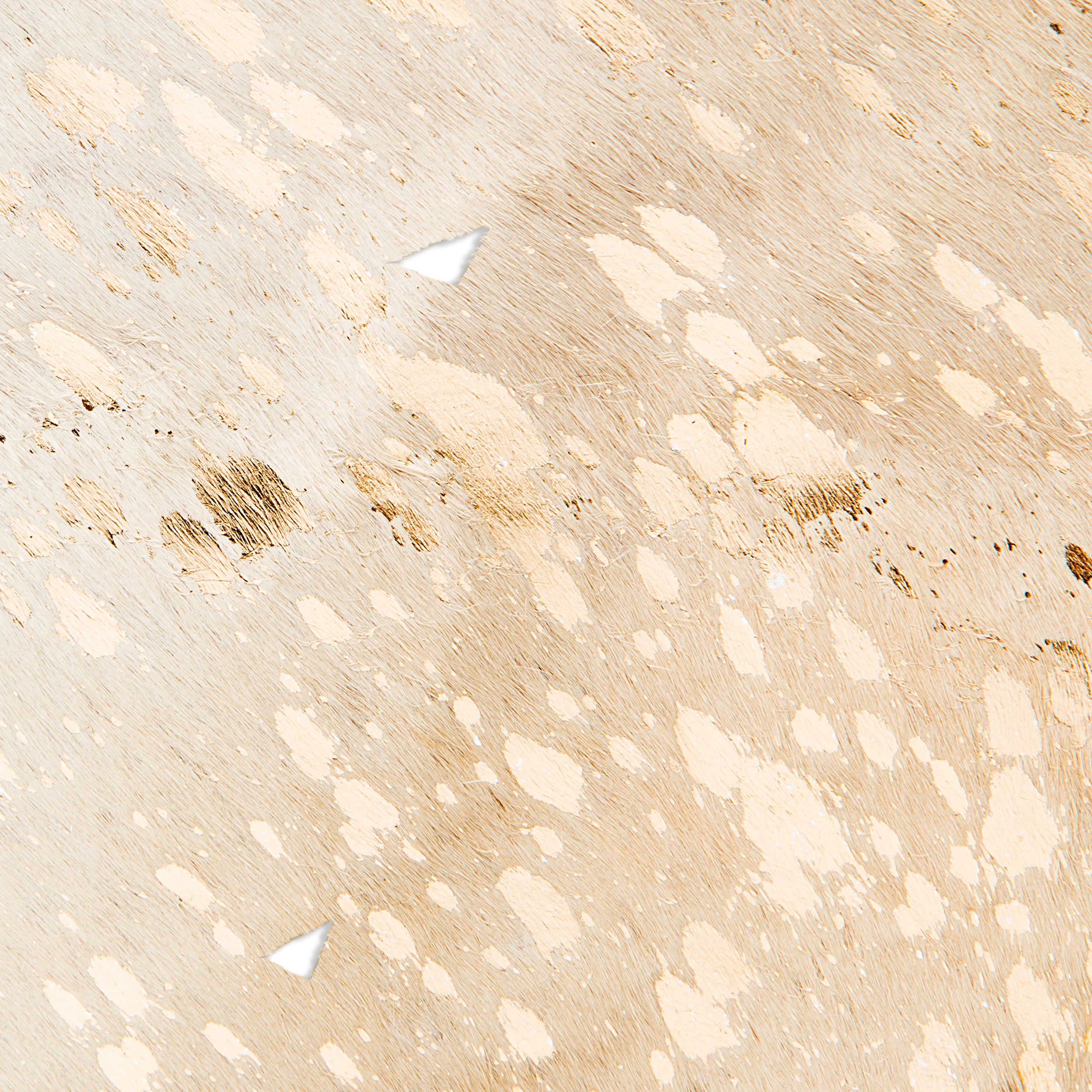 Vloerkleed 110 Wit Goud Fly