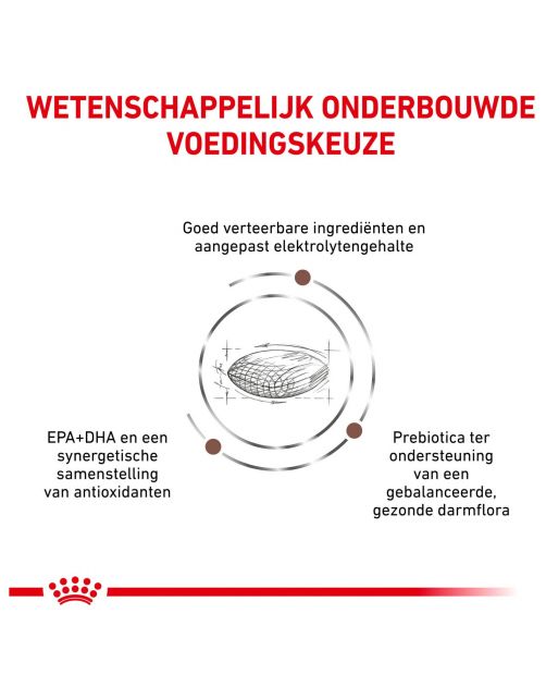 Royal Canin Veterinary Diet Gastrointestinal Hairball - Kattenvoer