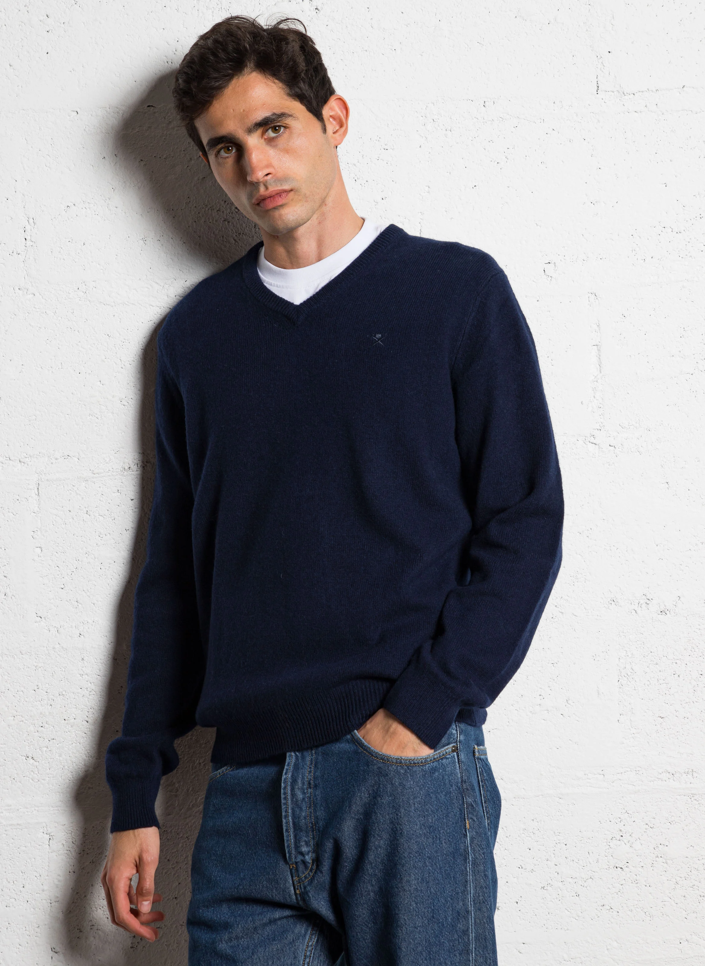 Pull regular-fit col V brodé en laine | Bleu
